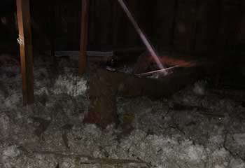 Attic Cleaning Near Concord | Attic Cleaning Concord Attic Cleaning Near Concord | Attic Cleaning Concord